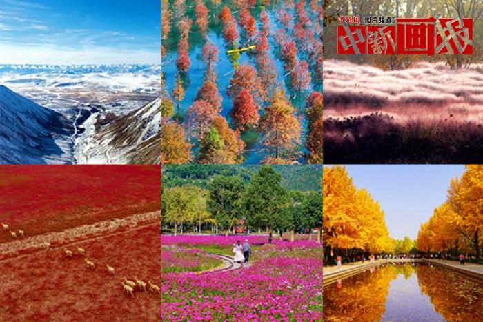 【圖刊】初冬至 大自然多彩冬衣“上新”啦！