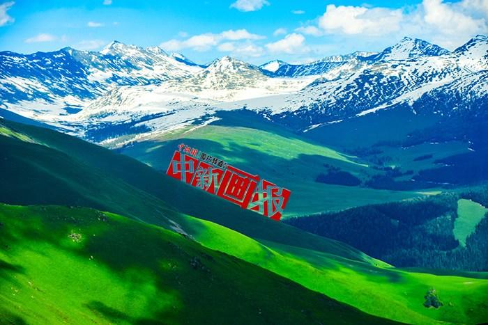 將夏天的“綠” 裝進屏幕里，一組護眼壁紙請查收！