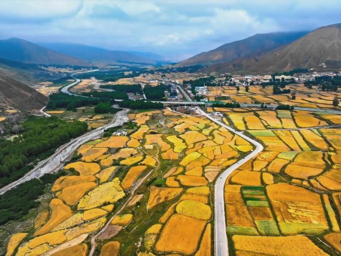 立秋時節高原青?！柏S景”初現
