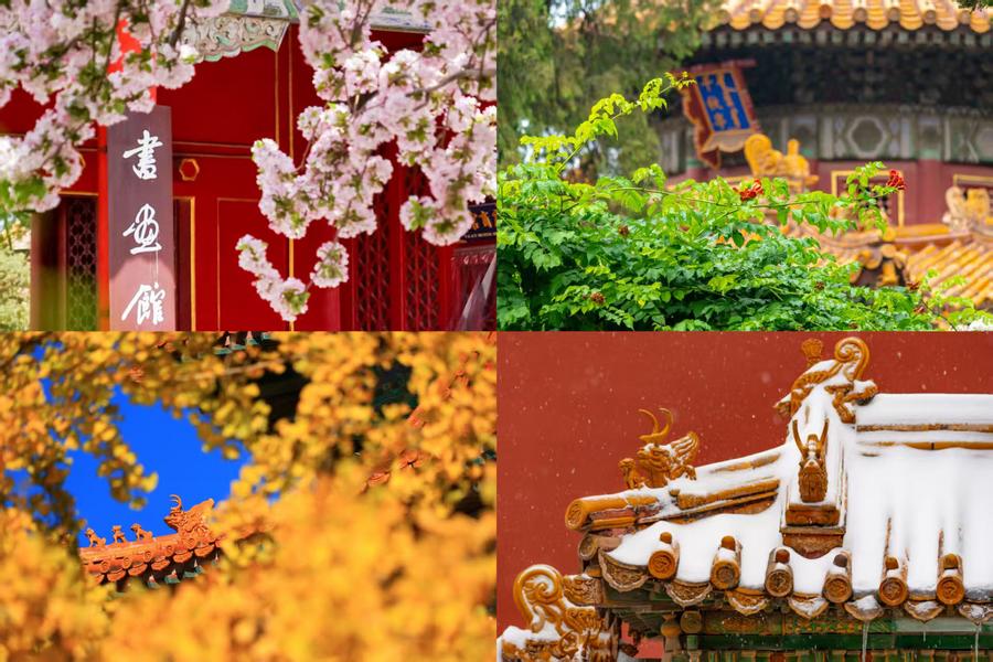 百歲快樂！一組圖領略故宮四季流轉之美