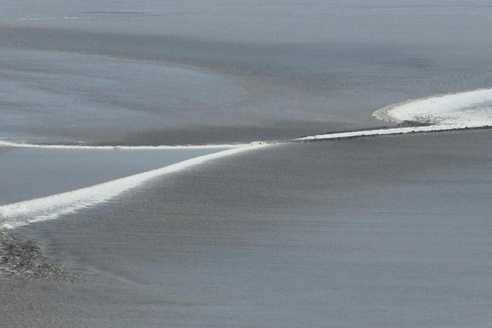 浙江嘉興：錢塘江大潮形態多變分外壯觀