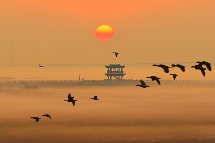 薄霧輕籠鄱陽湖 再現“秋水共長天一色”詩意