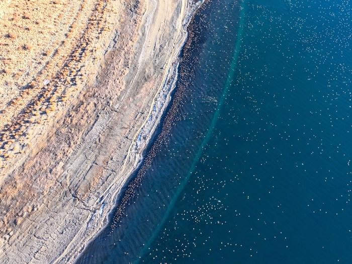 西藏沉錯：羊卓雍錯流域的生態明珠