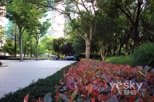 ����߀��Ϧꖼt ʮһ�����������C(j��)�xُ?f��)��]