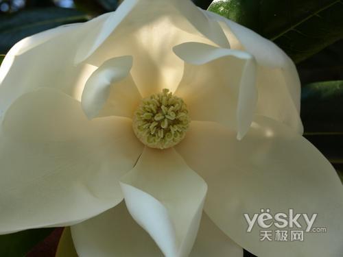 ʮһ���Ό��I֮�x �Ј����T�η����C���]