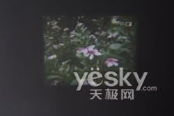 ��D�錦��ǰ���҈D�錦����