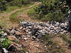 G 500�I(l��ng)㕡���ԇ�{���YȫϵSUV܇�� ��܇֮��