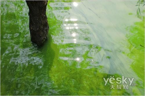 ̫��С��ƽ����� �����L�����a���C���]