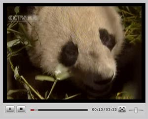 �c(di��n)���^��ҕ�l