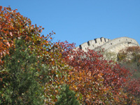 <strong>���_(d��)�X�t�~</strong>