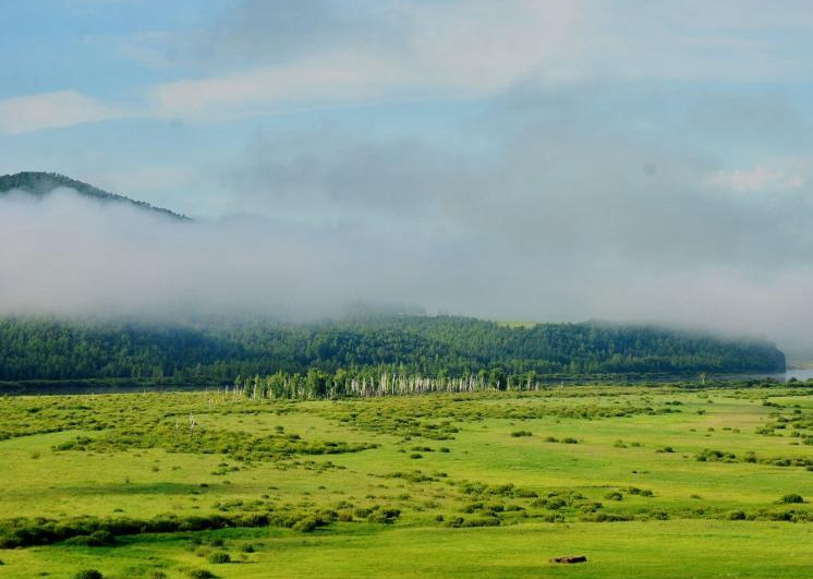 7月，到額爾古納實現壁紙自由