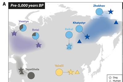 科學家揭示家犬同人類近萬年來的共遷移歷史