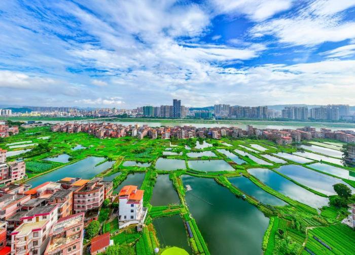 廣西梧州：仲夏城鄉美如畫